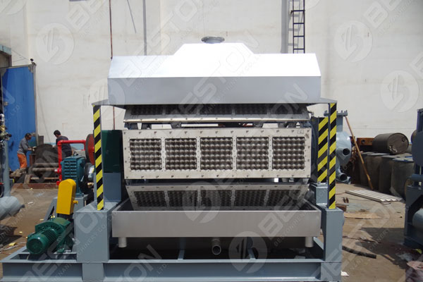 Pulp Molding Machine