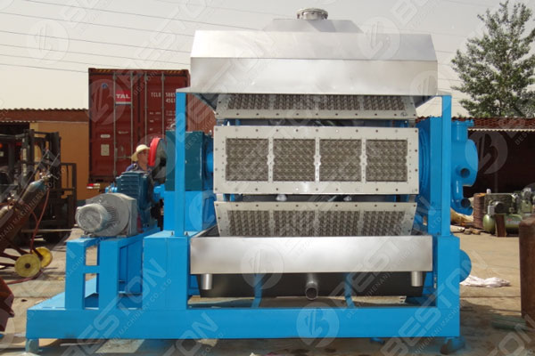 Investing in Egg Tray Machine