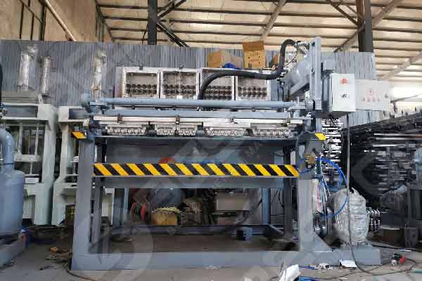 Beston Paper Tray Machine