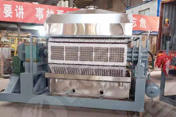 Beston Egg Tray Maker